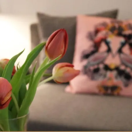 Impresionante Piso En El Centro De Con Terraza Y Parking Apartamento Pontevedra