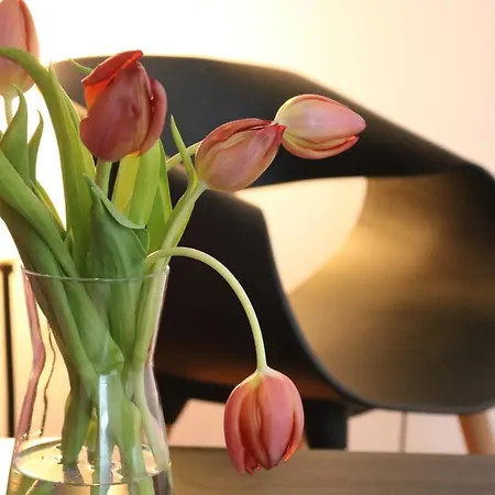 Impresionante Piso En El Centro De Con Terraza Y Parking Apartamento *