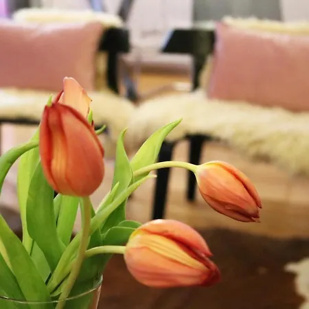 Apartman Impresionante Piso En El Centro De Con Terraza Y Parking Pontevedra