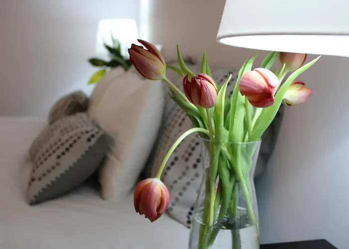 Impresionante Piso En El Centro De Con Terraza Y Parking Apartment *