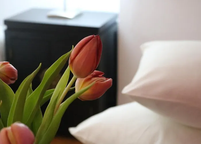 Impresionante Piso En El Centro De Con Terraza Y Parking